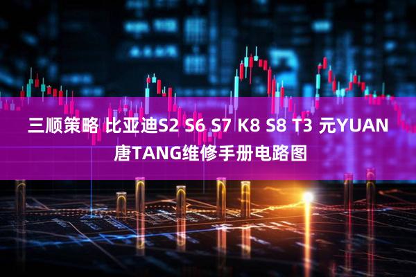 三顺策略 比亚迪S2 S6 S7 K8 S8 T3 元YUAN 唐TANG维修手册电路图