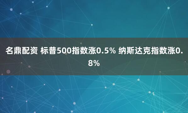 名鼎配资 标普500指数涨0.5% 纳斯达克指数涨0.8%