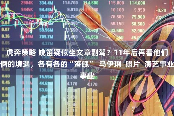 虎奔策略 姚笛疑似坐文章副驾？11年后再看他们俩的境遇，各有各的“落魄”_马伊琍_照片_演艺事业